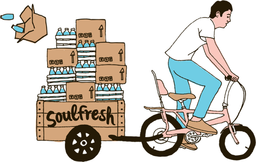 soulfresh bike